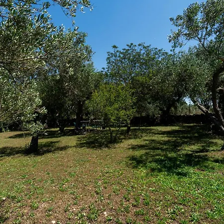 Villa Irma With Private Pool By Wonderful Italy Noci