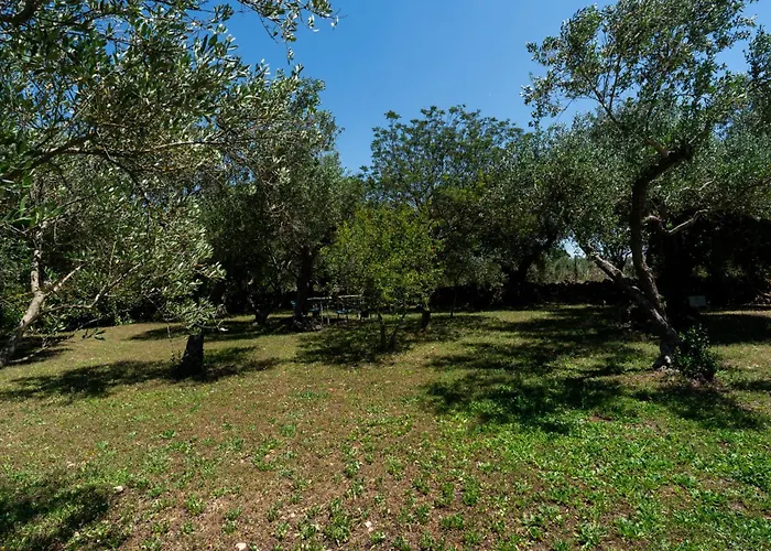 Villa Irma With Private Pool By Wonderful Italy Noci